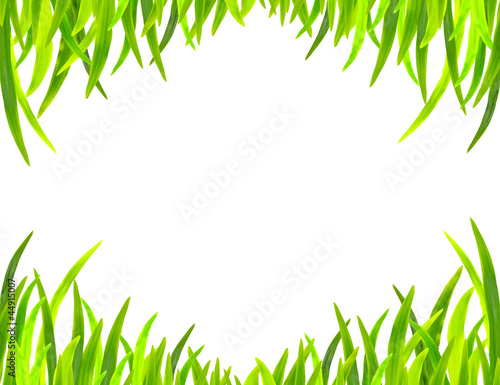 Grass frame in white background