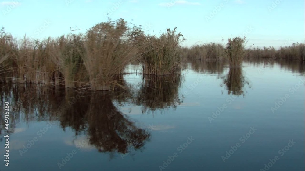 Endless expanses of water and reeds in the Danube Delta Endless expanses of water and reeds in the Danube Delta