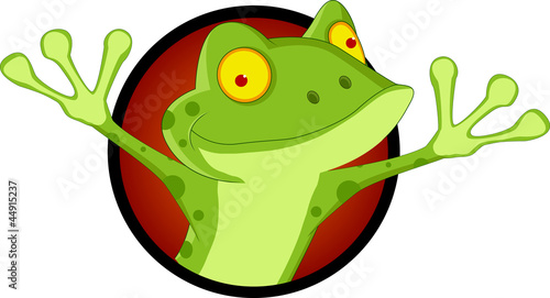 funny frog cartoon