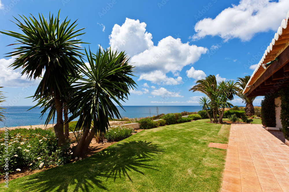 Fototapeta premium Mediterranean garden