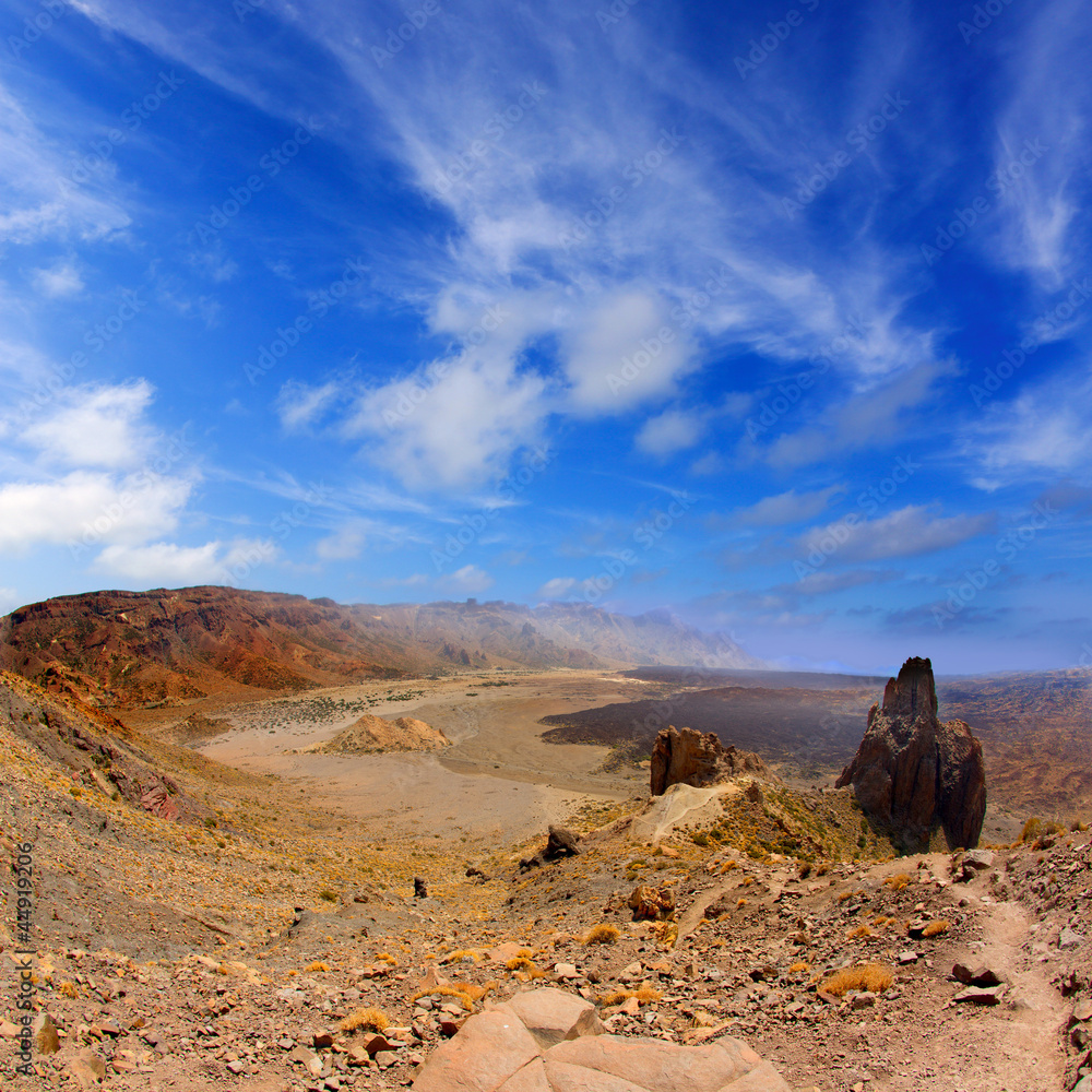 Fototapeta premium Canary islands in Tenerife Teide National Park