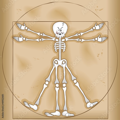 Vitruvian Skeleton Man-Uomo Scheletro Vitruviano-Vector