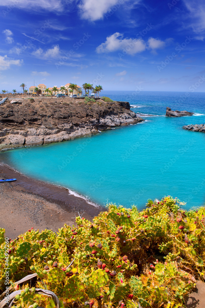 Beach Playa Paraiso costa Adeje in Tenerife