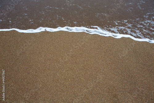 Vászonkép beach tropical with brown sand and clear water