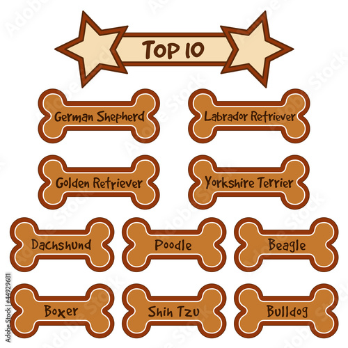Top 10 Most Popular Dog Breeds, Dog Bone Treats