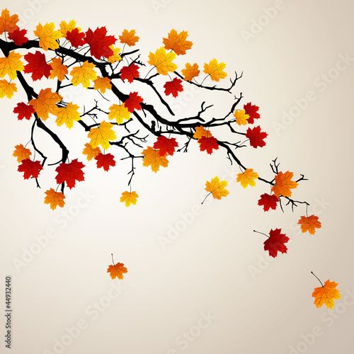 Vector Illustration of an Autumnal Background