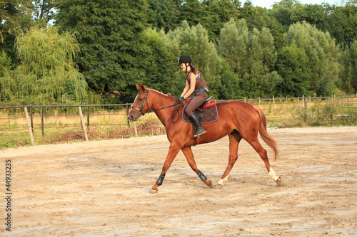 horse and rider