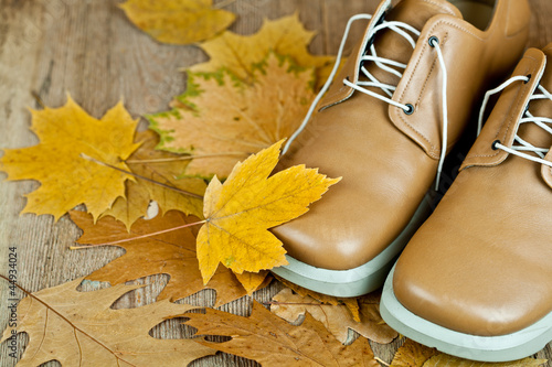 Fotografie leather shoes and yellow leaves