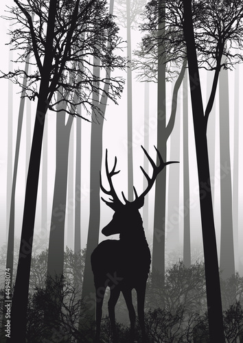 cerf foret