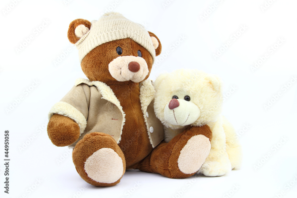 Two bears Two bears
