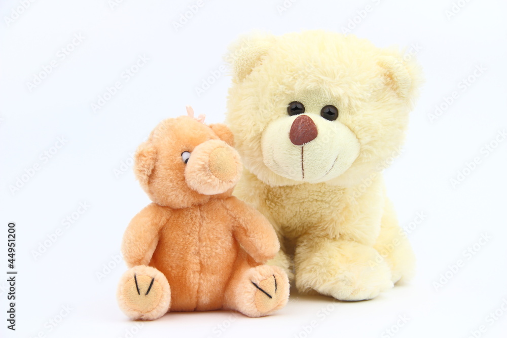 The bear and the pig The bear and the pig