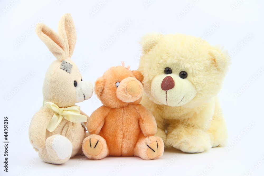 Obraz premium The plush animals
