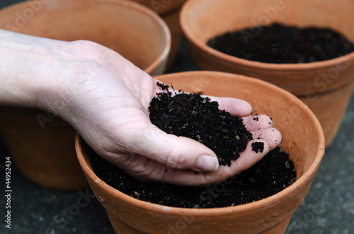 Planting new plants