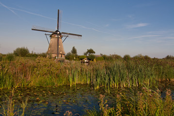 Keuken achterwand Molens Windmolens van Kinderdijk in Nederland  © dadothedude