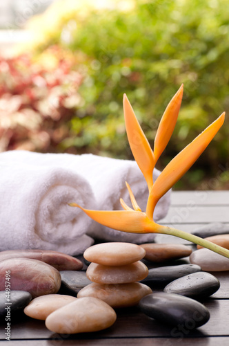 Zen stones and heliconia spa concept