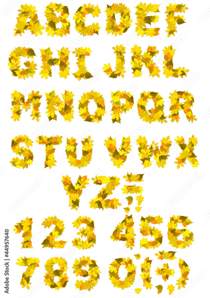 Alphabet - letters and numbers with autumn leaves