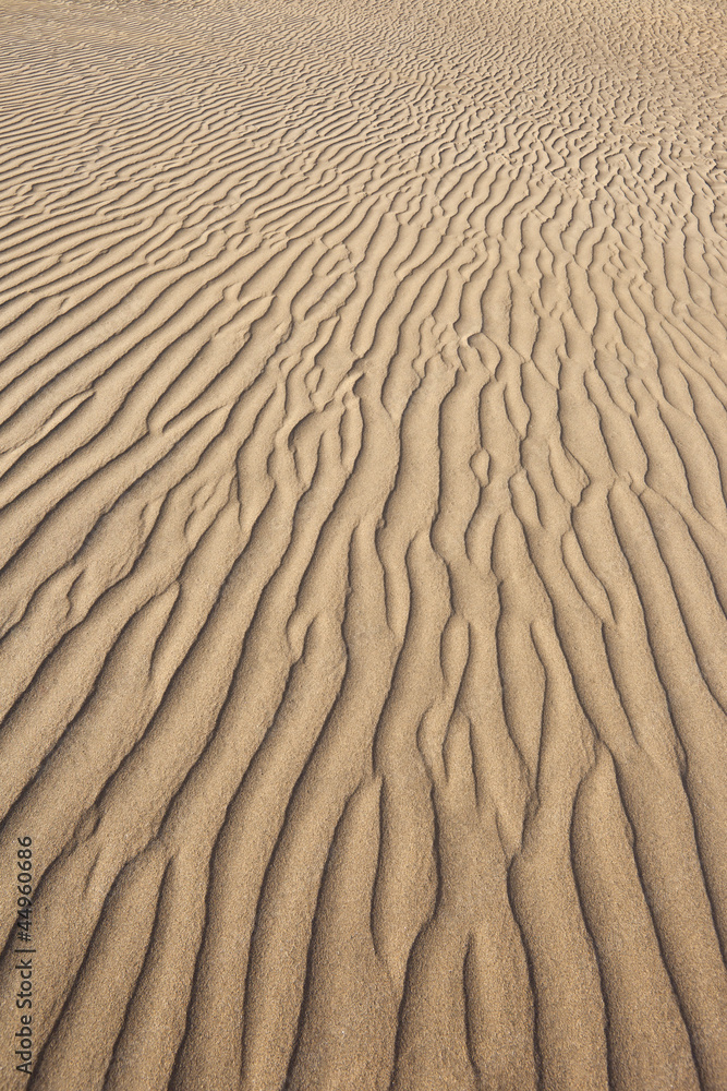 Golden sand with texture, Maspalomas, Canary Islands Golden sand with texture, Maspalomas, Canary Islands