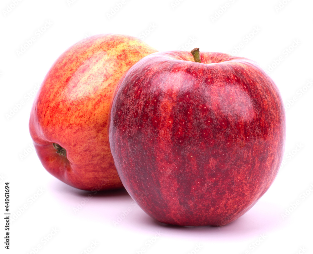 Two red apples isolated on white background Two red apples isolated on white background