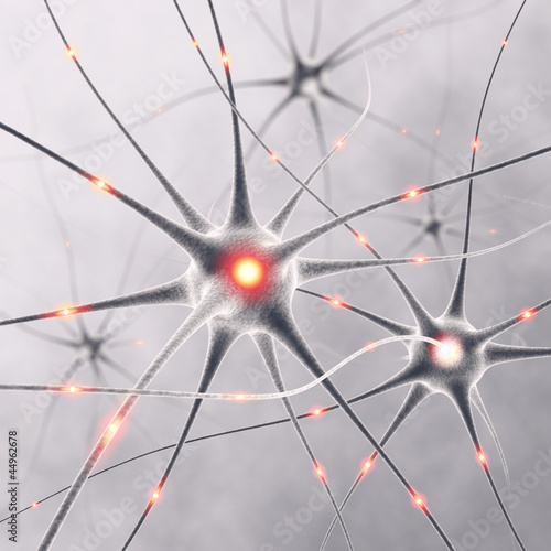 Obraz na płótnie Neurons