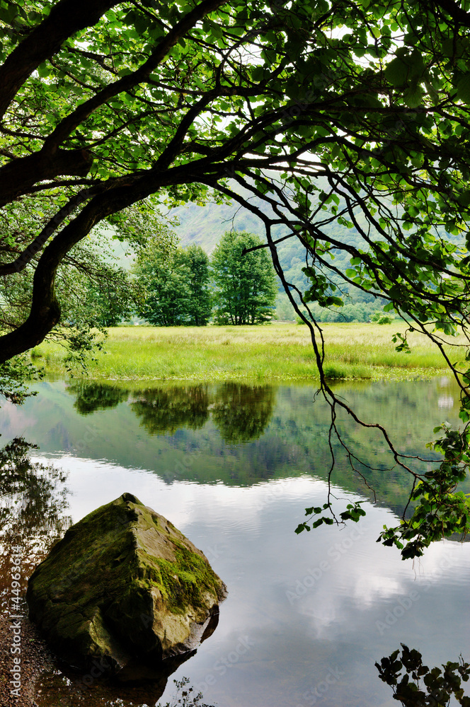 Rock and Overhanging Tree by Lake Rock and Overhanging Tree by Lake