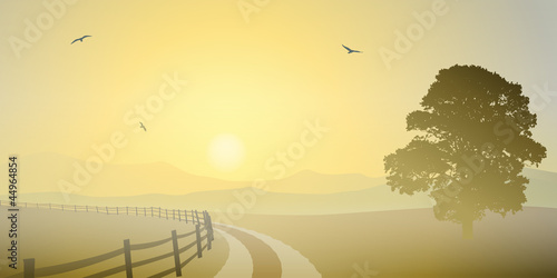 A Country Landscape with Sunset, Sunrise, Road and Tree