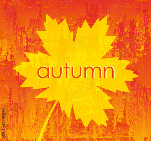 Autumn background