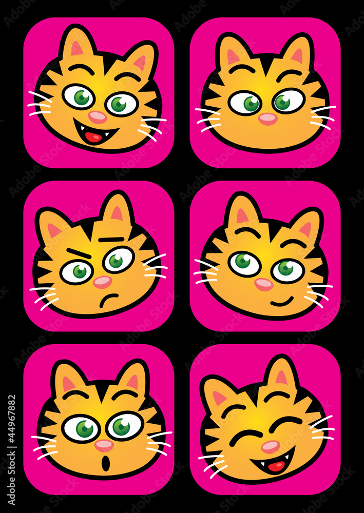 Cat facial expressions Cat facial expressions