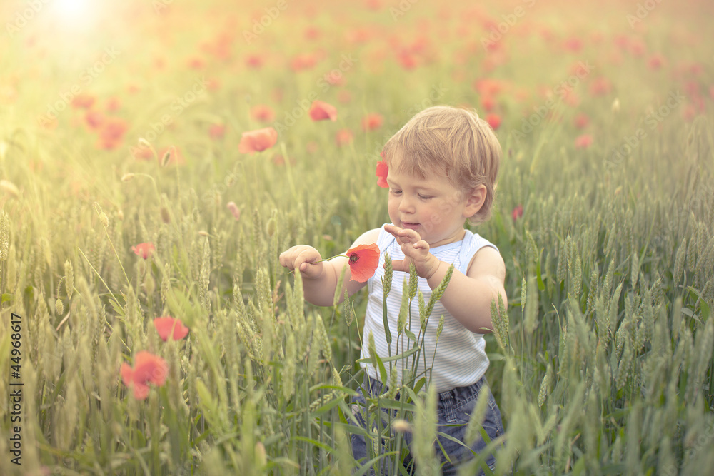 Toddler in poppy field Toddler in poppy field