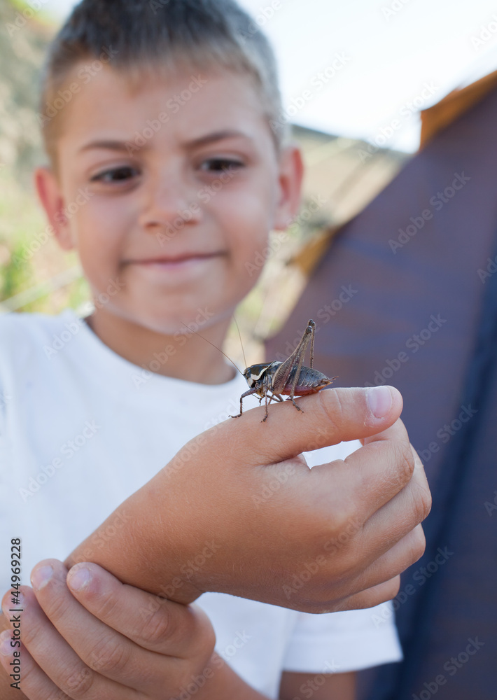 Grasshopper sits on  boy's arm