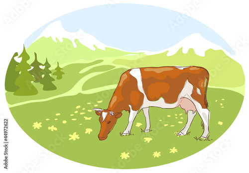 The white and red cow is grazed on the Alpine meadow.