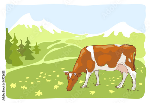 The white and red cow is grazed on the Alpine meadow.