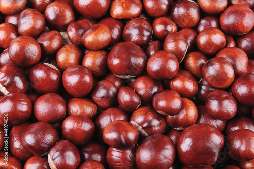 Obraz na płótnie Chestnuts w salonie