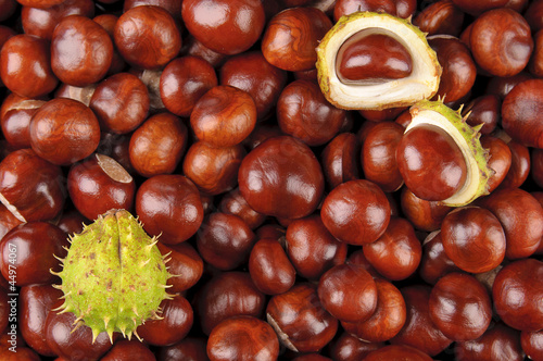 chestnuts