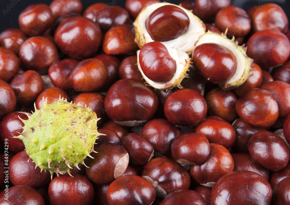 chestnuts chestnuts