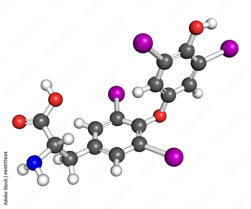 Thyroxine molecule