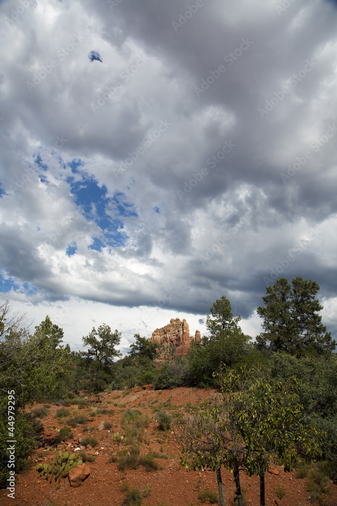 Sedona Landscape