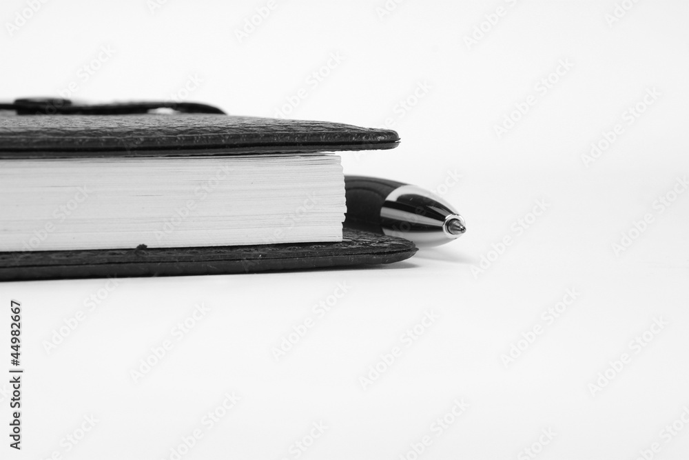 Diary and a pen Diary and a pen