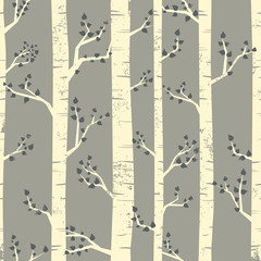 Stickers Berken patronen Berkenbomen achtergrond in natuurlijk bos  © Iveta Angelova