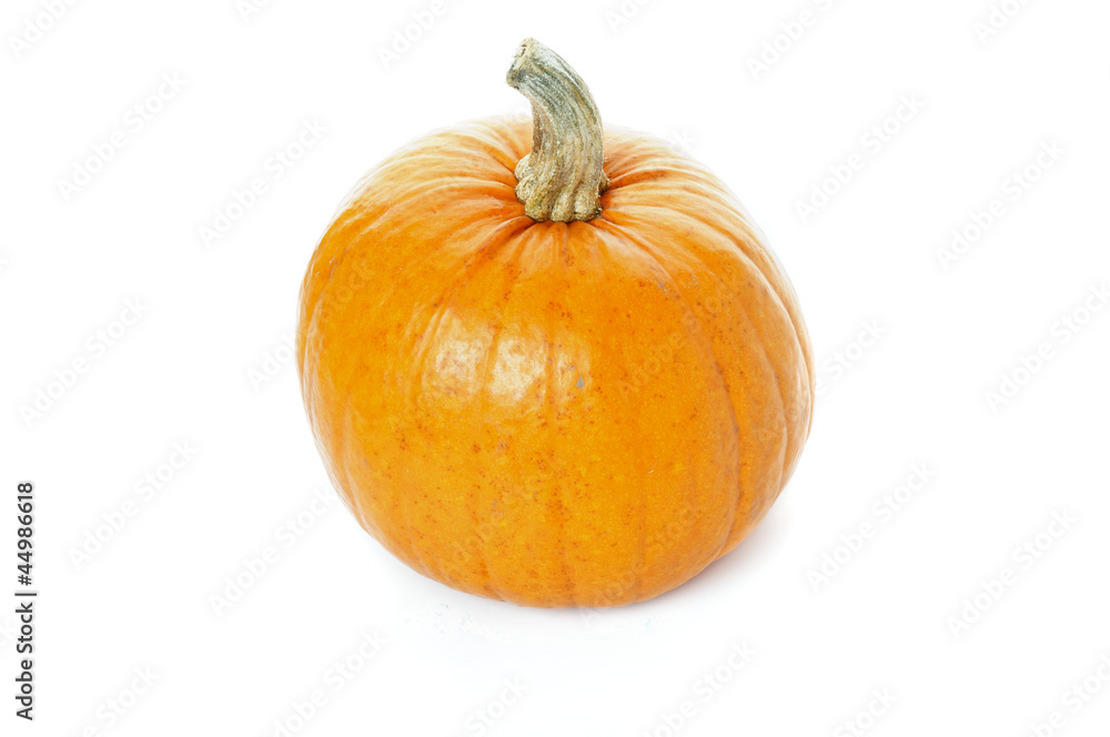 Ripe Pumpkin Ripe Pumpkin