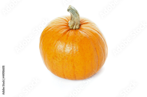 Ripe Pumpkin