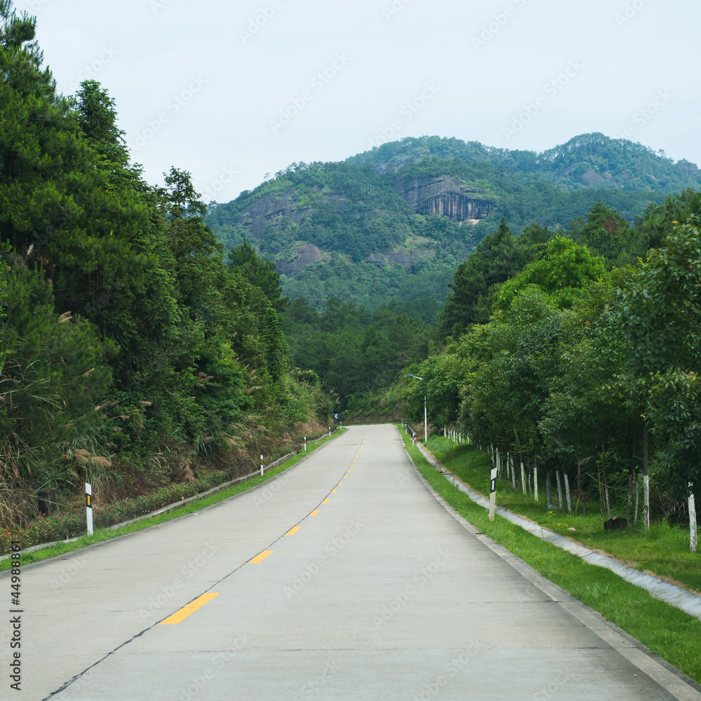 turns to the mountains