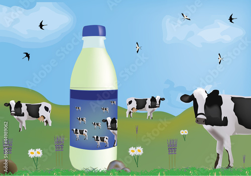 milk bottle