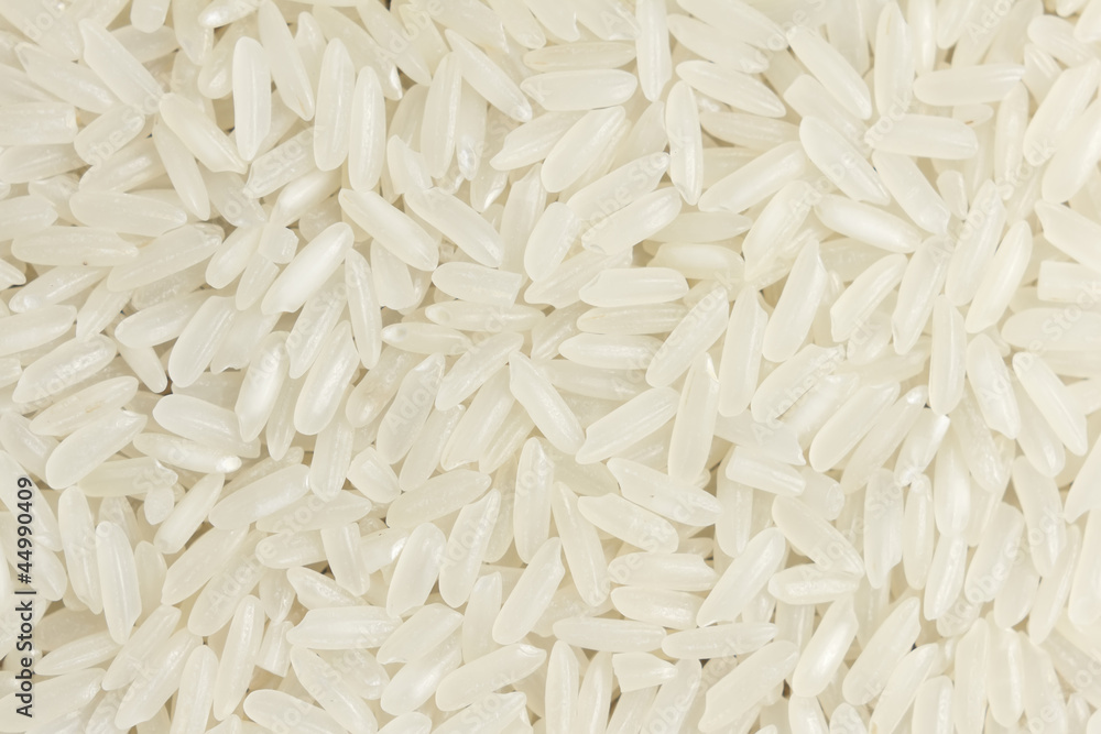 Rice Rice