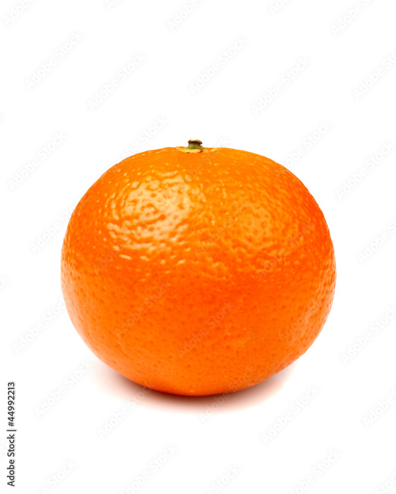 Orange on a white background Orange on a white background