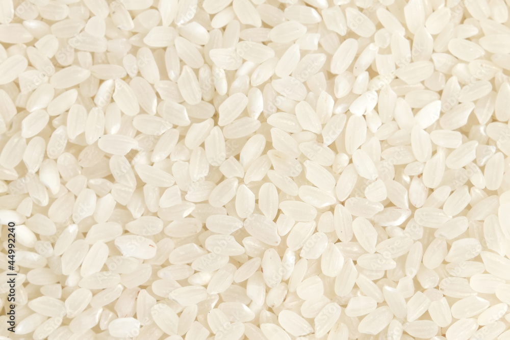 Rice Rice