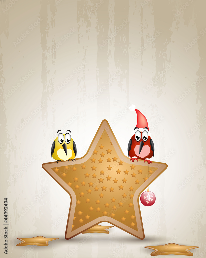 weihnachtsstern Stock-Vektorgrafik | Adobe Stock