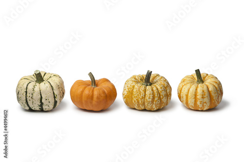 Variety of baby pumpkins