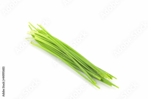 Chives On White Background