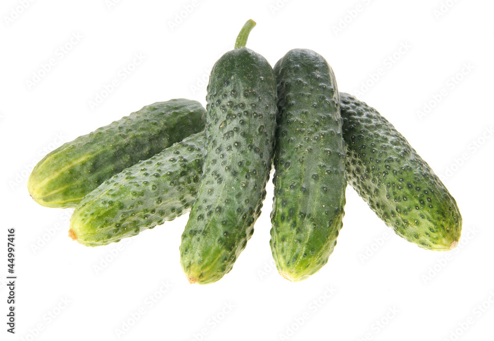 Cucumbers Cucumbers