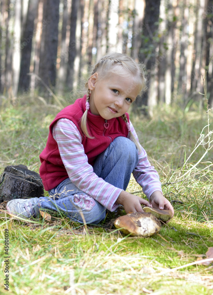 little girl gathers mushrooms in the forest little girl gathers mushrooms in the forest